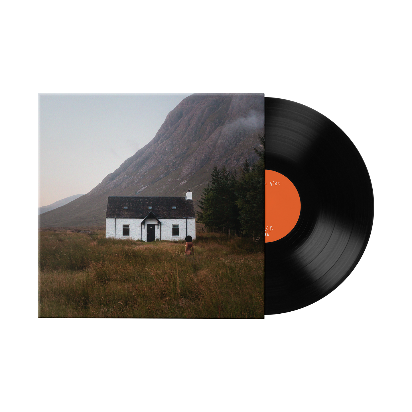 Vinyle « Maison Vide »